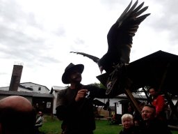 500 Treffen 2017 Tag2